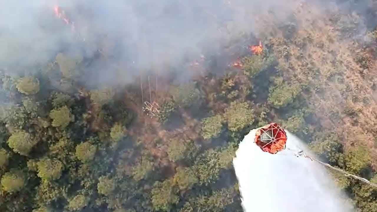 Bursa'da korkutan yangın! Alevler rüzgarın etkisiyle ormana sıçradı!