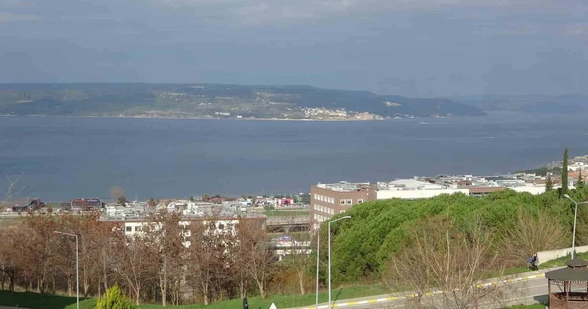 Çanakkale'de mavi denizanası uyarısı: Temas suda hissedilmiyor, acı karada başlıyor