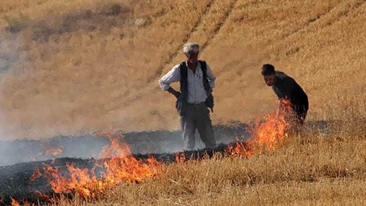 Çanakkale'de orman yangınlarına karşı flaş önlem! Anız yakılması resmen yasaklandı!