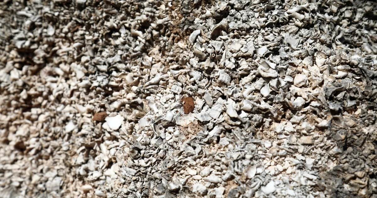 Çevik: Mor, bazı dönemlerde parayla bile alınamayan bir ayrıcalık göstergesiydi