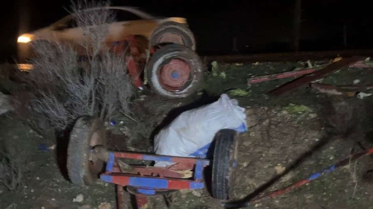 Ceylanpınar’da otomobil, at arabasına çarptı