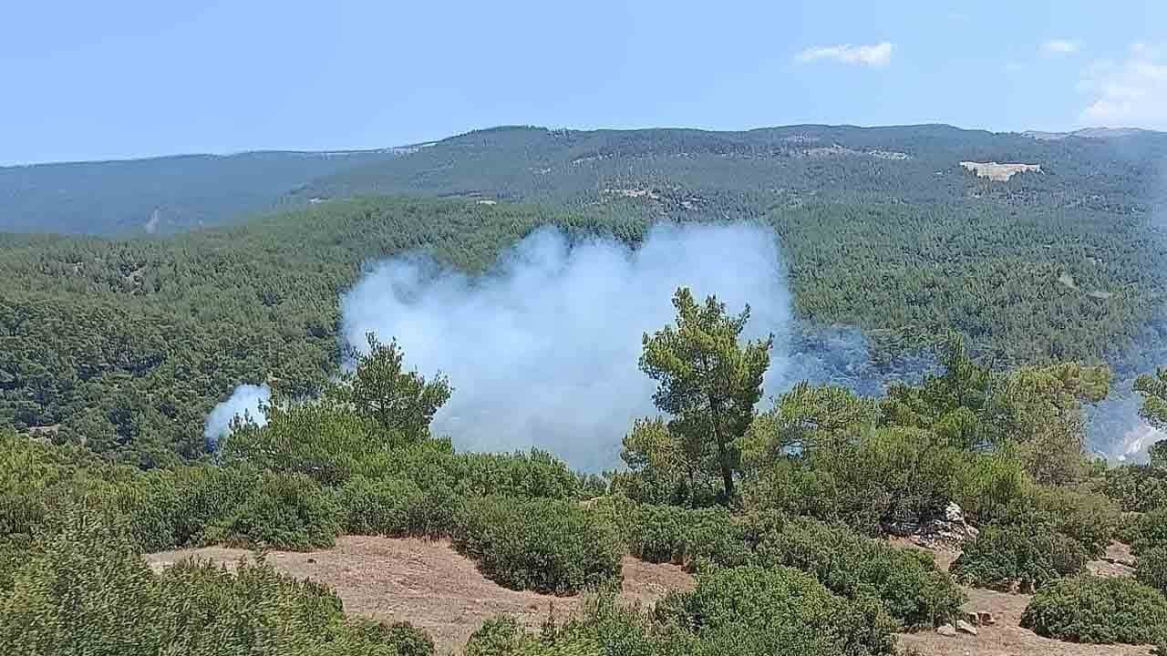 Çine'deki yangından iyi haber
