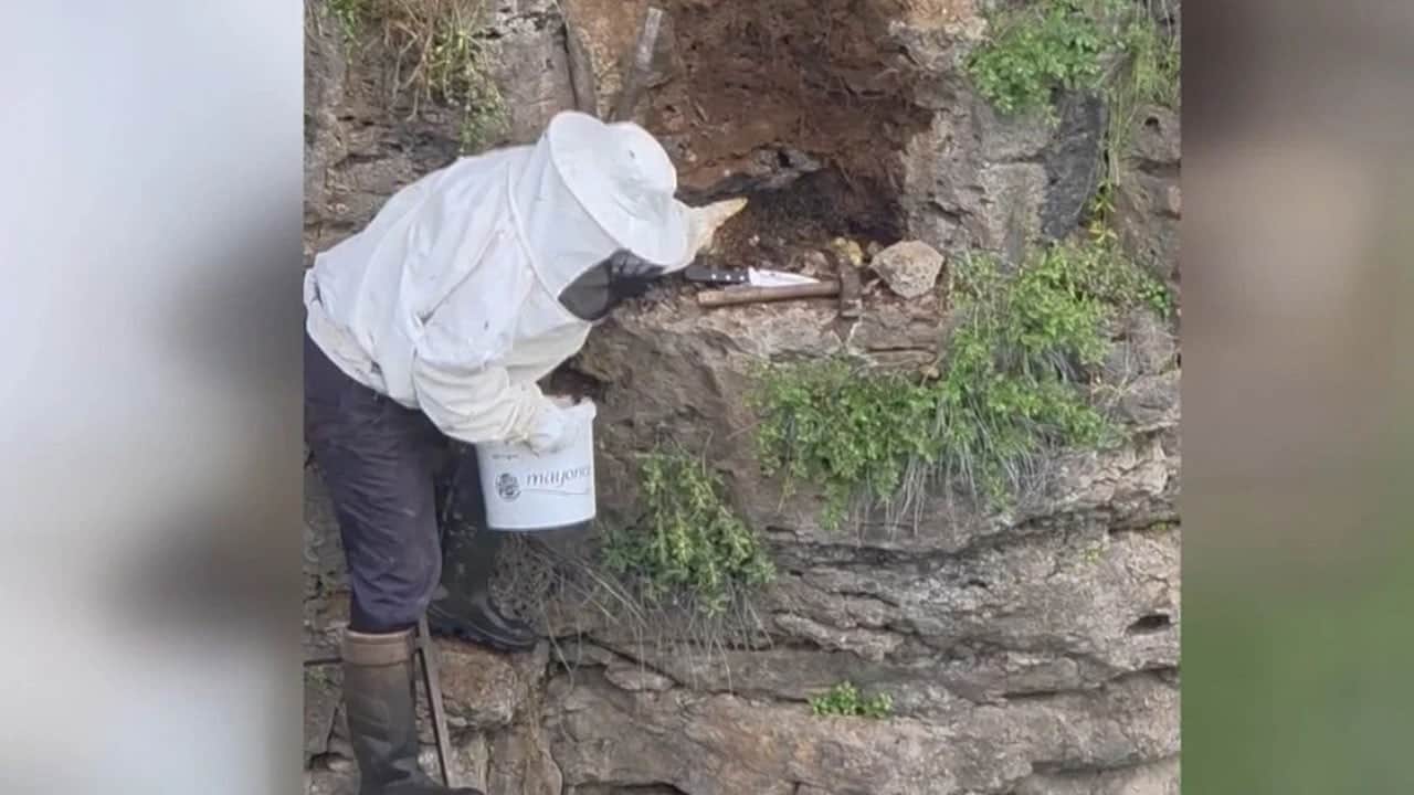 Çoban kaya oyuğunda hazine buldu