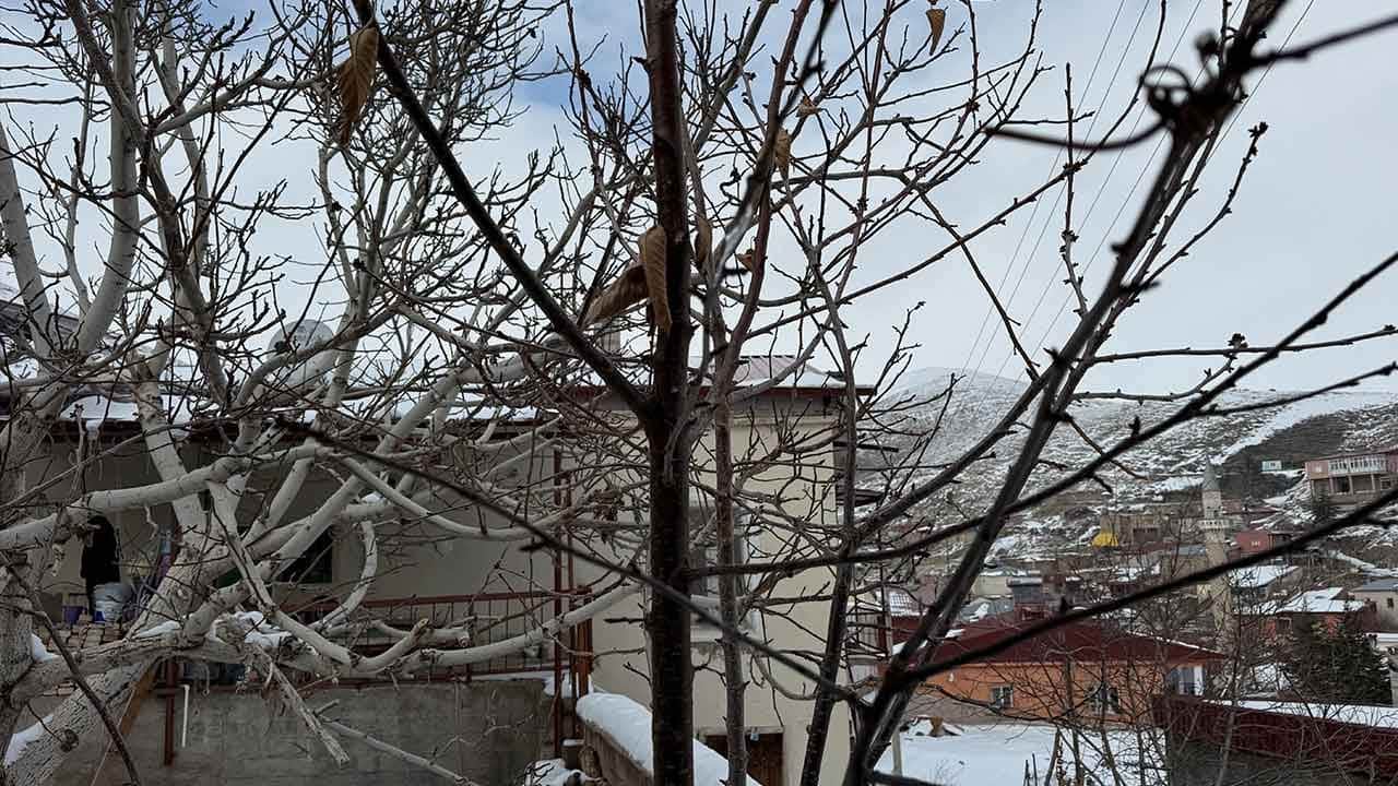 Çukurova'da 52 yılın en büyük müjdesi! Kuraklık bitti, çiftçi bayram ediyor!