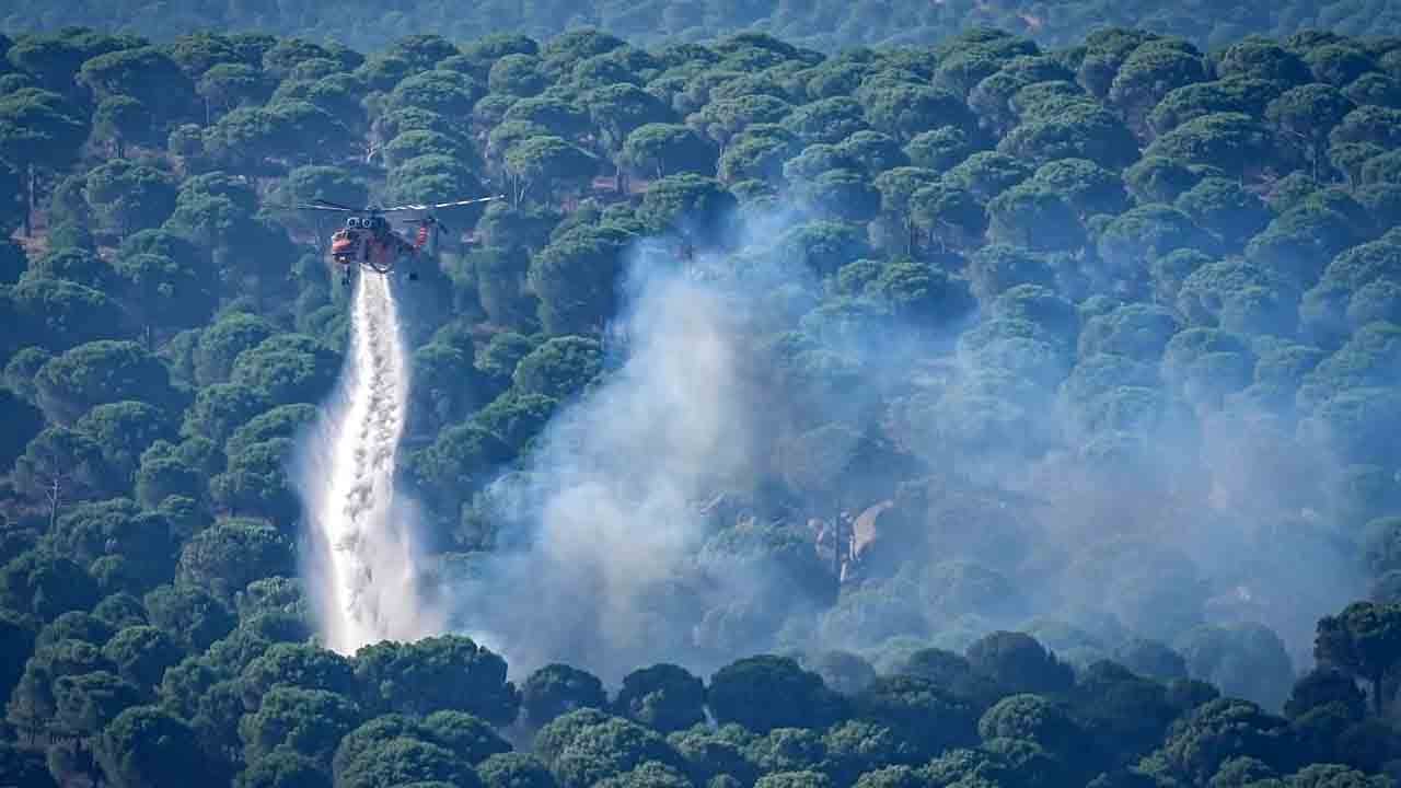 Cumhurbaşkanlığı İletişim Başkanlığı'ndan açıklama: ‘Yeşil vatan’ için 7/24 teyakkuzdayız