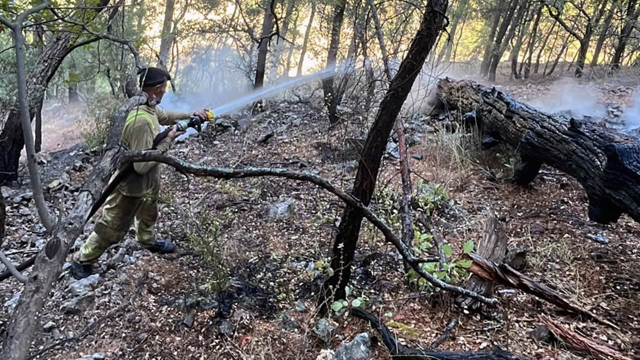 Dalaman’daki orman yangını kontrol altında