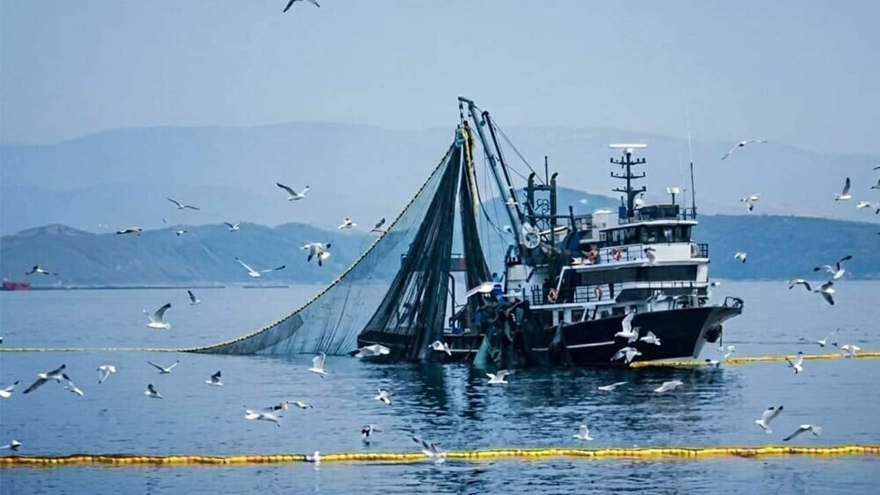 Denizlerde av yasağının başlangıç tarihi belli oldu