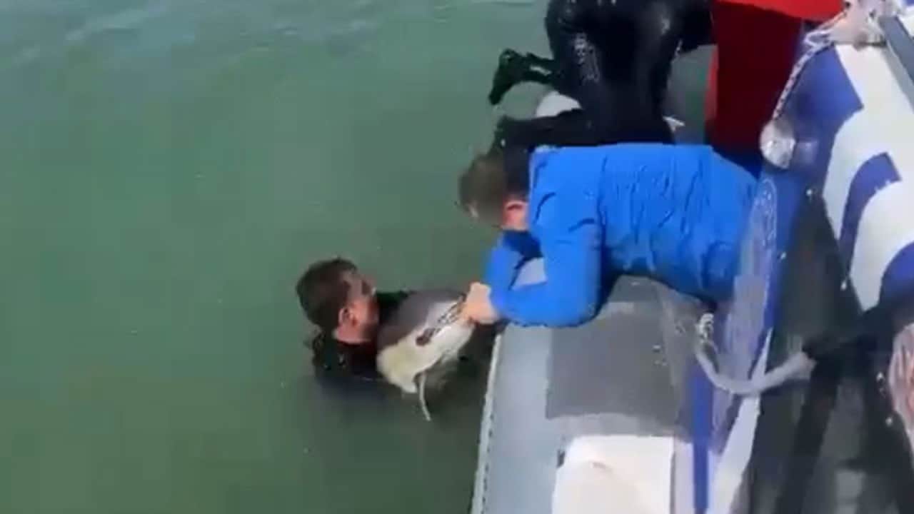 Derede yaşam mücadelesi veren yunusa yardım eli!