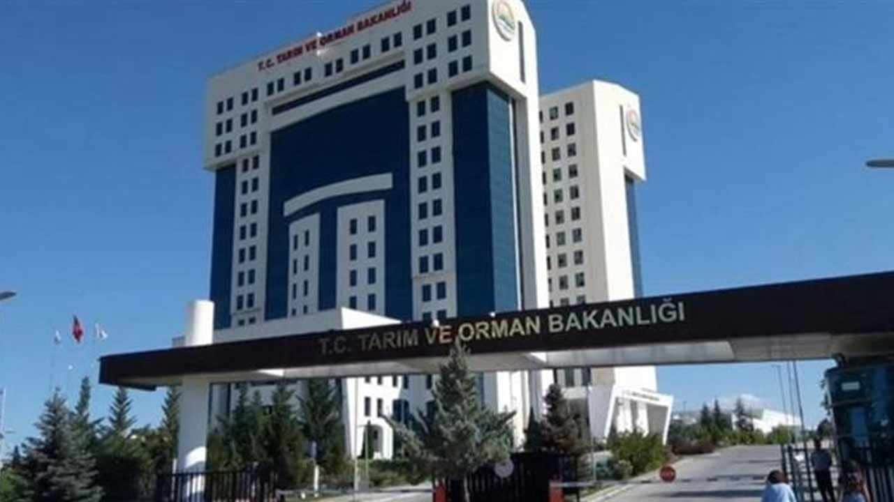 Detaylar belli oldu! Kamuya yüzlerce personel alımı