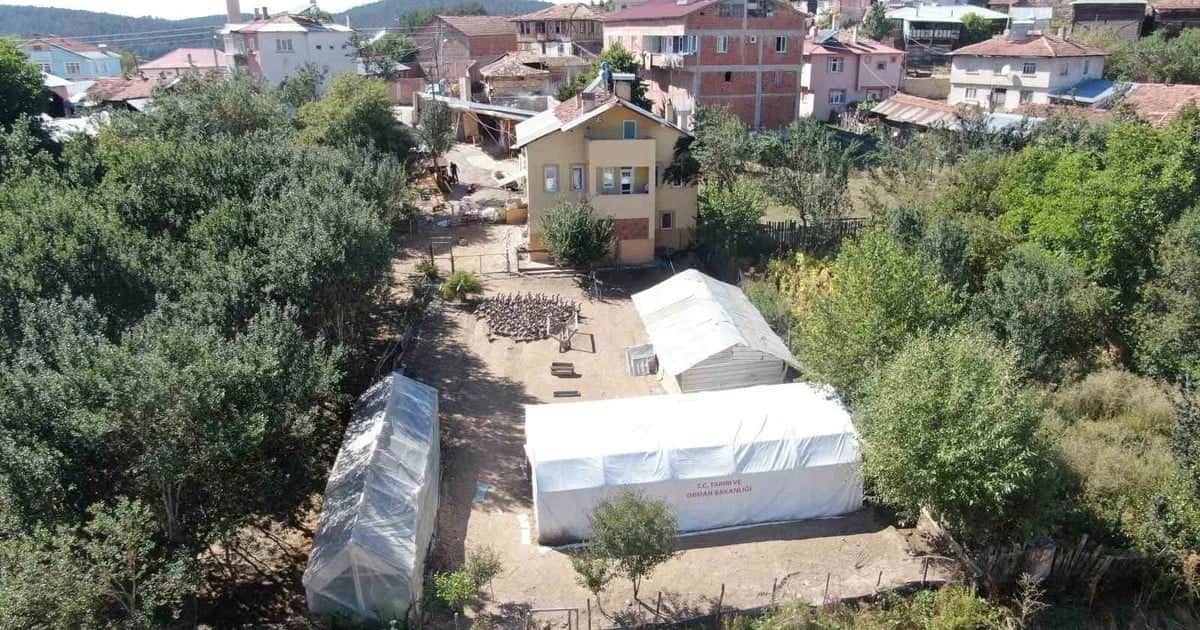 Devrekani'de 130 kazla kurduğu çiftlik 600 damızlığa ulaştı, yurt dışından da talep var