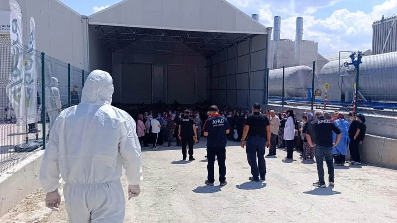 Domates serasında çalışan 10 işçi zehirlendi
