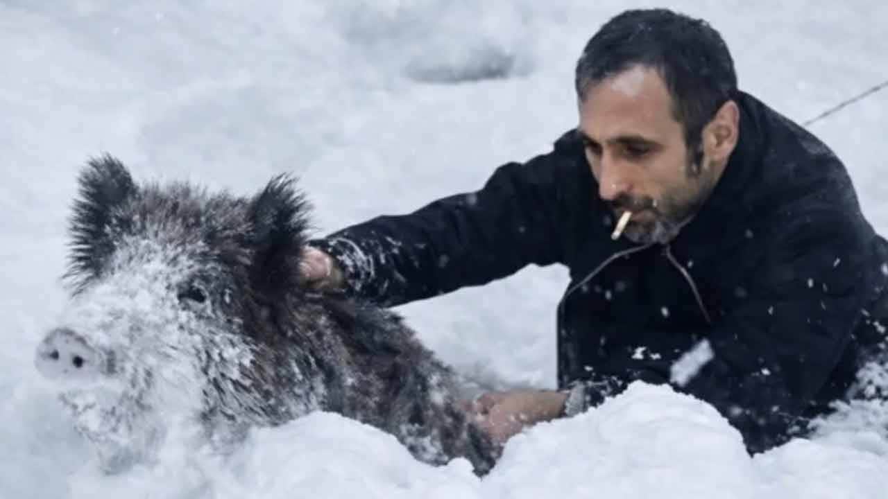 Domuzu elle yakalayıp dünya genelinde viral olmuş ama cezayı yemişti... Cezası iptal edildi