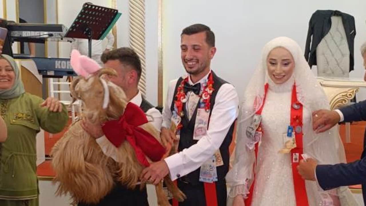 Düğünde altın değil bakın ne takıldı