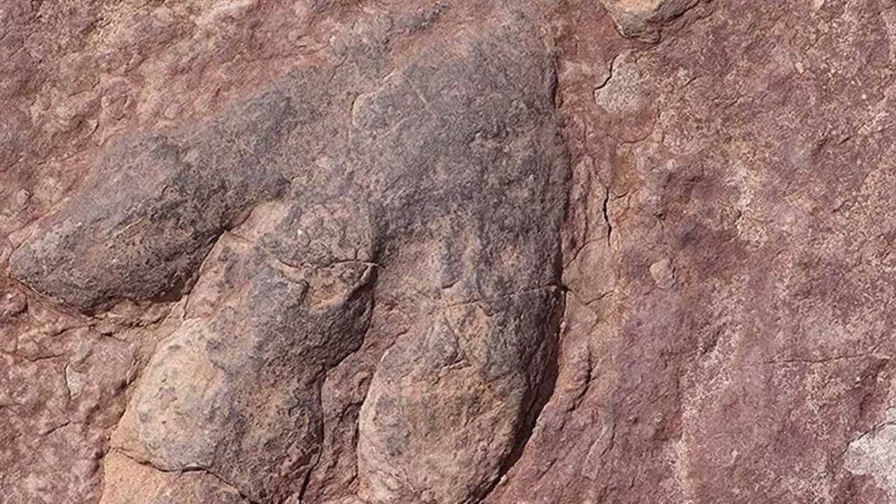 Dünyada ilk kez büyük sır çözüldü! Afrika 'da 3,3 milyar yıllık: Teknoloji yöntemi şaşırttı! Tespit edildi