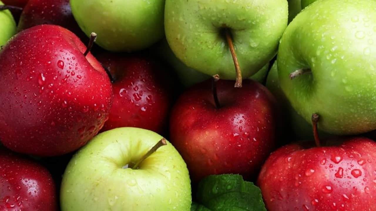 Elmanın faydaları nelerdir? Günde 1 elma yiyen kalbini kurtarıyor! Kırmızı elma çok kritik bir göreve sahip...