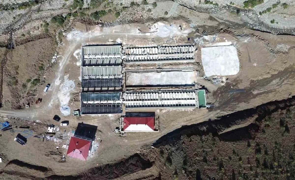 Erzincan'da üretilen balıklar 'Karadeniz somonu' olarak yaklaşık 18 ülkeye ihraç ediliyor