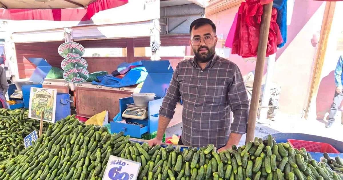 Eskişehir'de turşuluk kornişon salatalığın kilosu bir haftada 50 liradan 60 liraya çıktı
