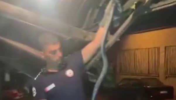 Ev sahibi şoka girdi! Bulaşık makinesinden 2 metrelik karayılan çıktı
