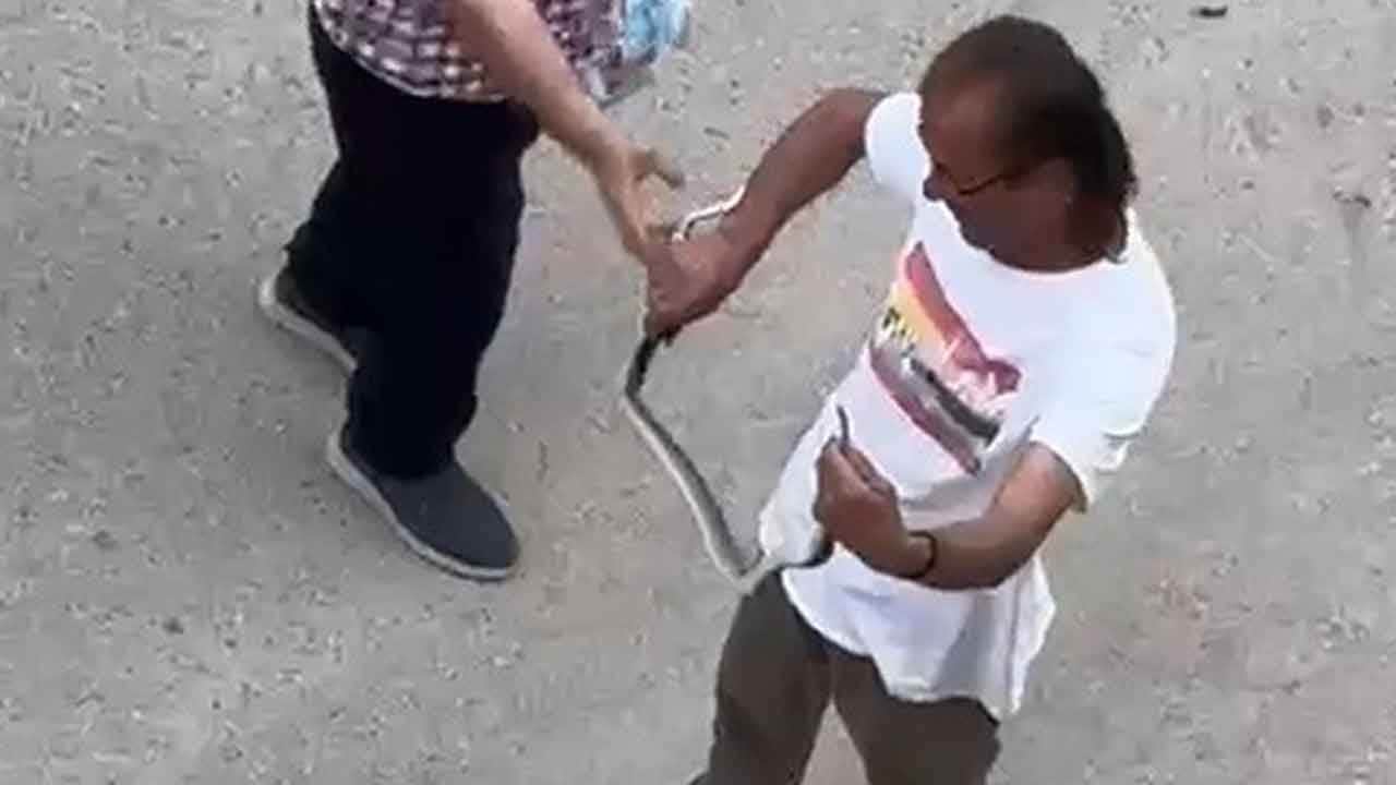 Ev sahibinin kabusu oldu! İçeri giren dev yılanı görünce gözlerine inanamadılar!
