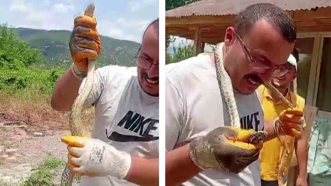 Evde 1 metrelik yılan paniği! "Onlar çevre dostu" diyerek boynuna sardı