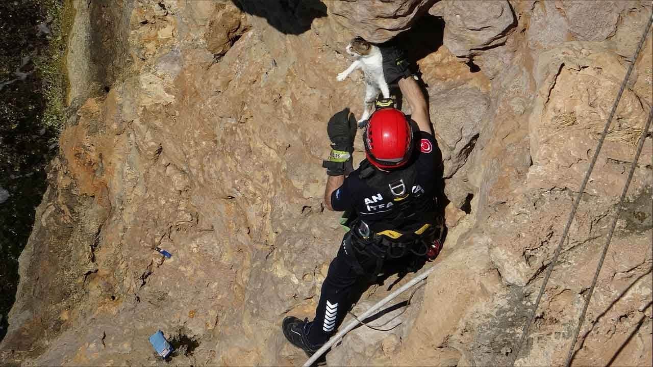 Falezlerde ölüm kalım savaşı! Mahsur kalan minik dostumuz için seferber oldular
