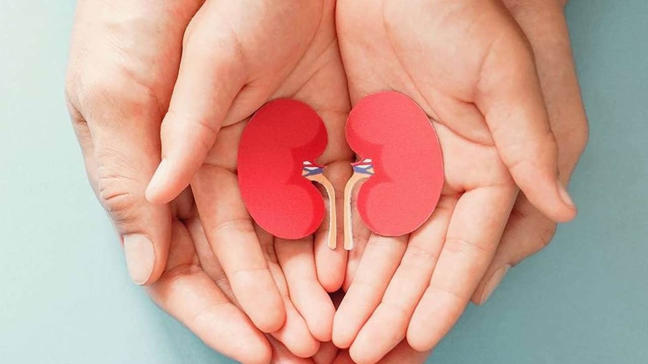 Fark edilmeden ilerliyor! Vücudun sessiz işçileri tehlikede