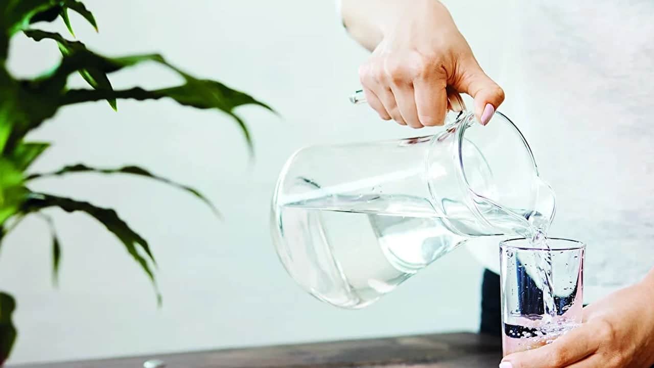 Fasulye yetiştiriciliğinde çiçeklenme ve hasat zamanı! Fasulyesi için: Gerçek sanıp yapma püf nokta bambaşka