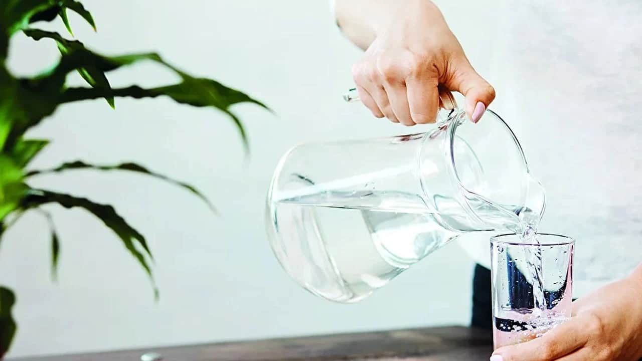 Fasulye yetiştiriciliğinde çiçeklenme ve hasat zamanı! Fasulyesi: Gerçek sanıp yapma püf noktası bambaşka...