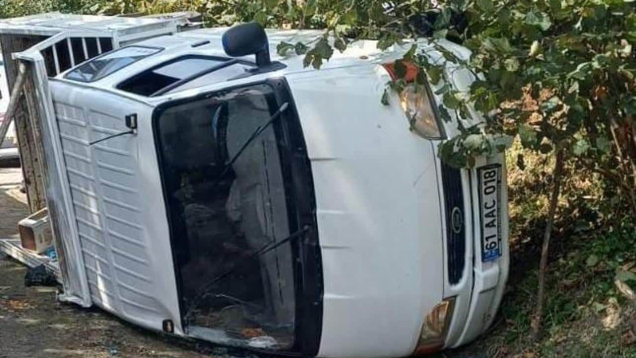 Fındık işçilerini taşıyan kamyonet devrildi! Çok sayıda yaralı var