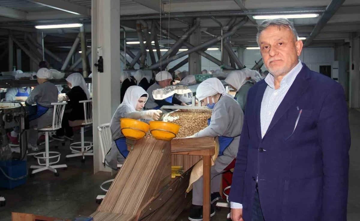 Fındıkta serbest piyasa 190 lira seviyesine indi, TMO alımı 250-255 lirada
