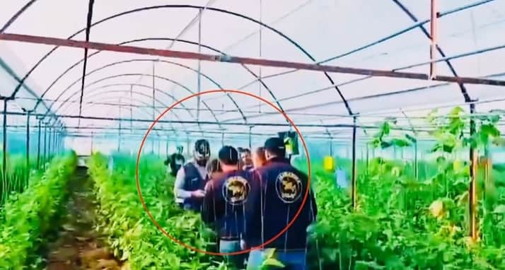Firari katil zanlısına serada Jasat pençesi: 7 yıllık kaçış son buldu!