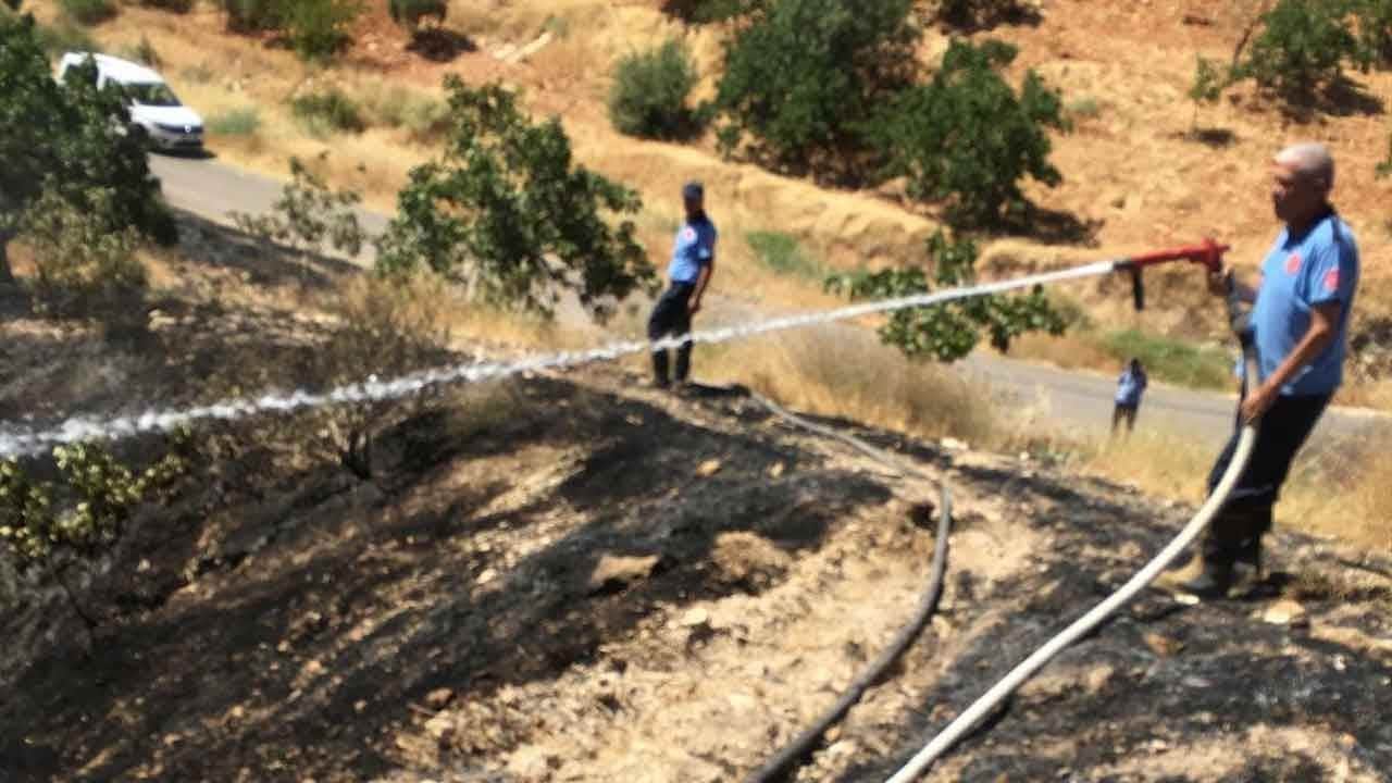 Fıstık tarlasındaki yangından acı haber! Alevlerin ortasında kalan adam ölü bulundu!