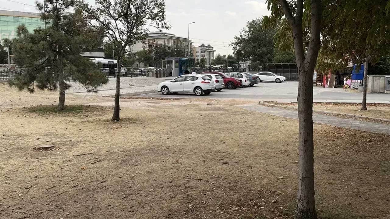 Gençler arasındaki anlaşmazlık, sağlık ve güvenlik ekiplerini harekete geçirdi