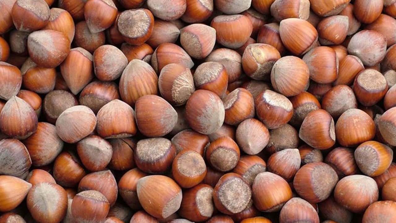 Giresunlu kadın girişimci kendi markasını kurdu