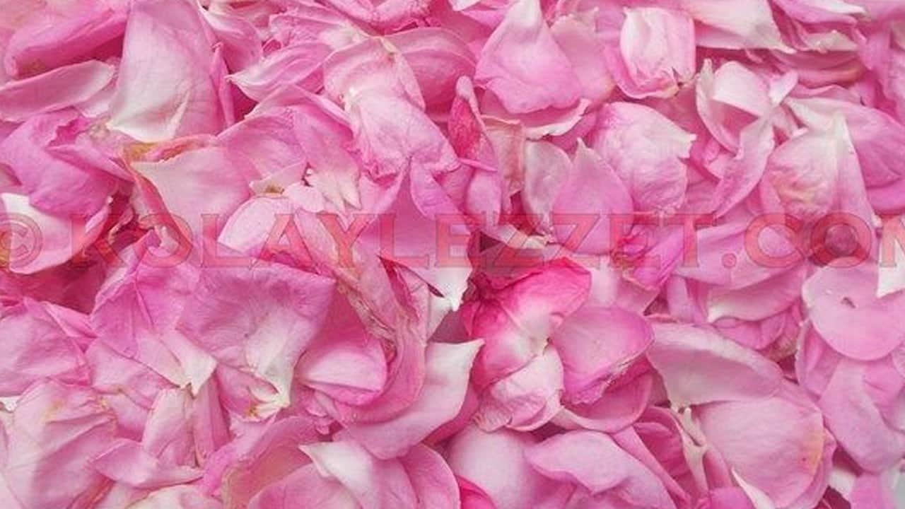 Gül reçeli ve gül mayası: Buda bizi oyalamayan herkesin ağzına layık tarif! Etkili olan malzemeler neler?