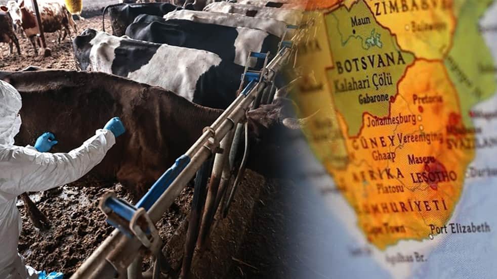 Güney Afrika'da ‘ulusal afet hali’ ilan edildi