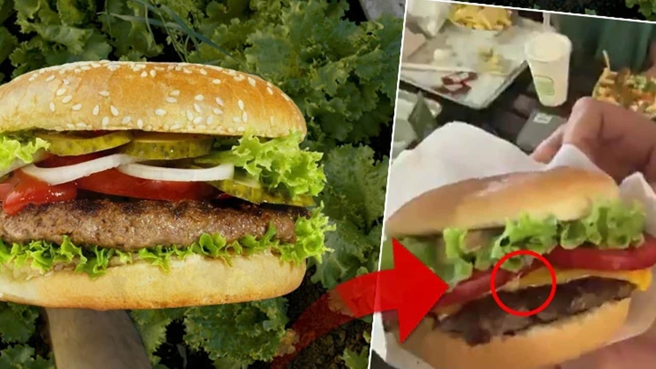 Hamburgerde sümüklü böcek iddiası!