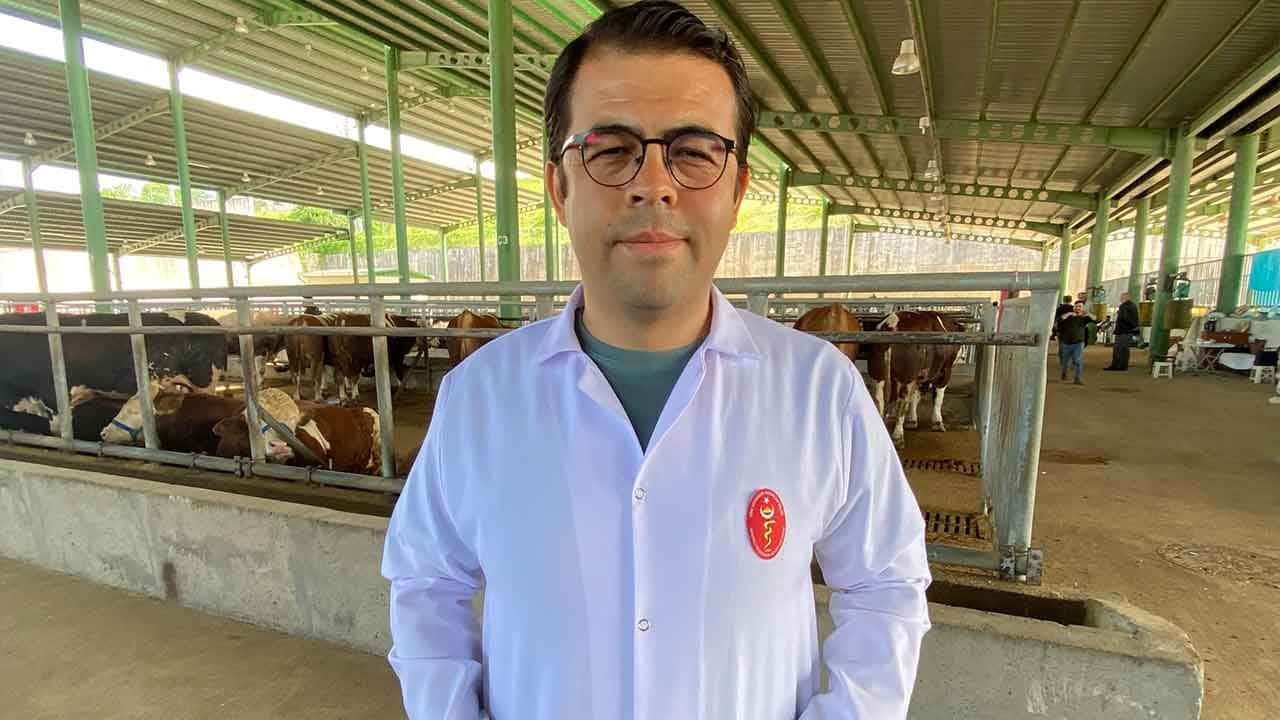 Havaların ısınmasıyla birlikte ölümcül tehlike yeniden hortladı!