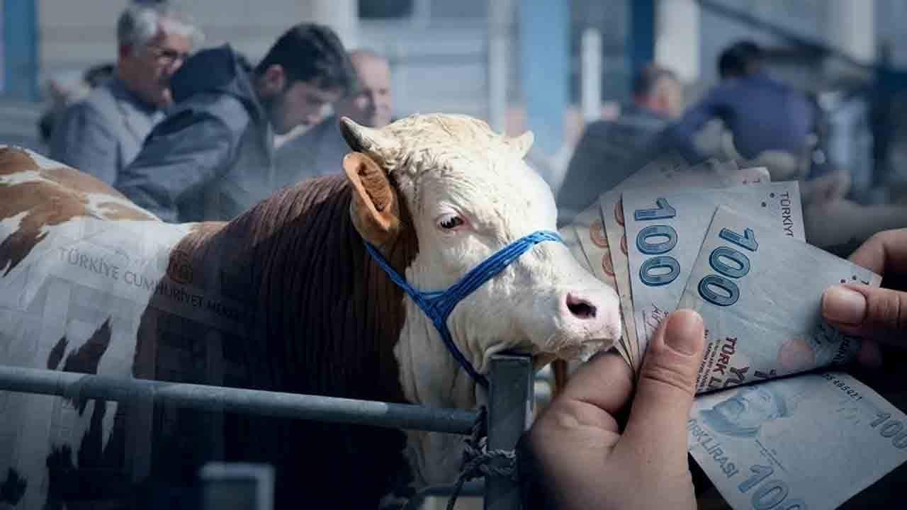 Hem alanlar hem satanlar! Kurban pazarlarında bu tuzaklara dikkat!