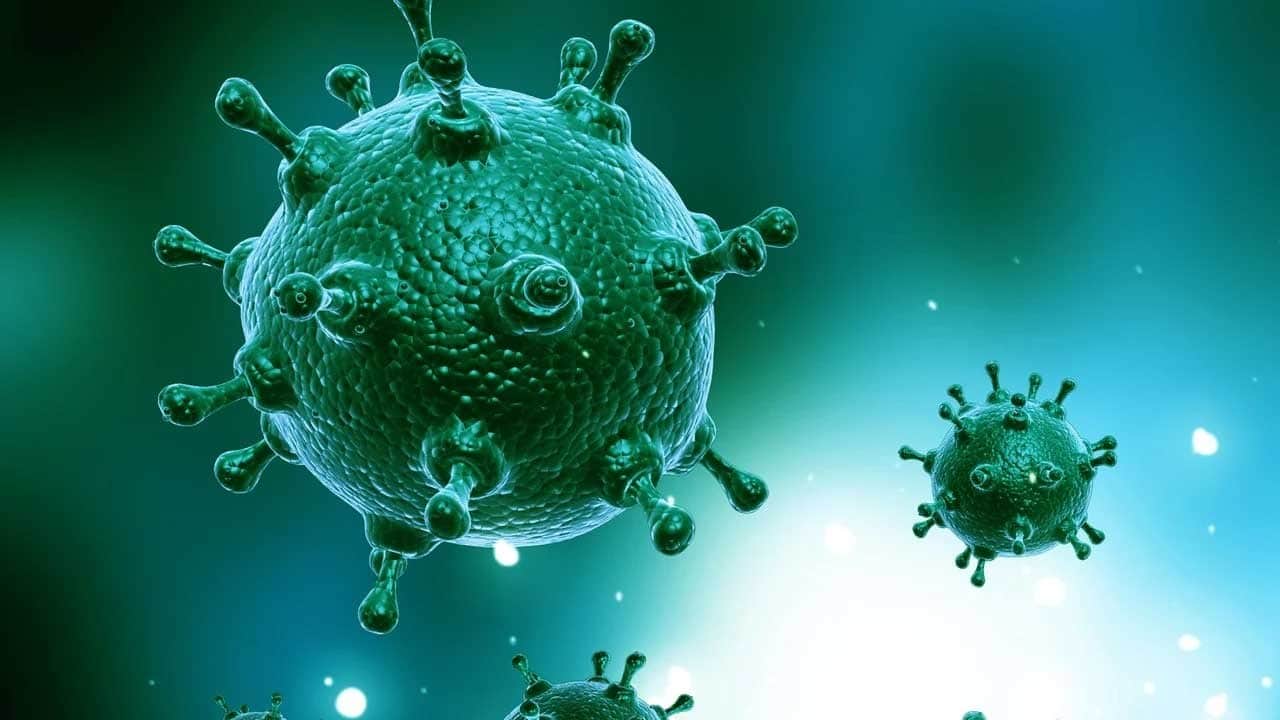 Hükümet çağrı yaptı! Virüs paniği