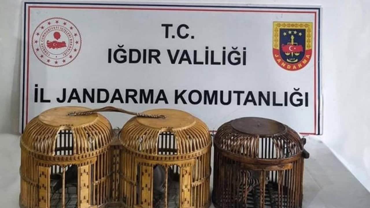 Iğdır’da kaçak keklik avı yapan şahsa para cezası