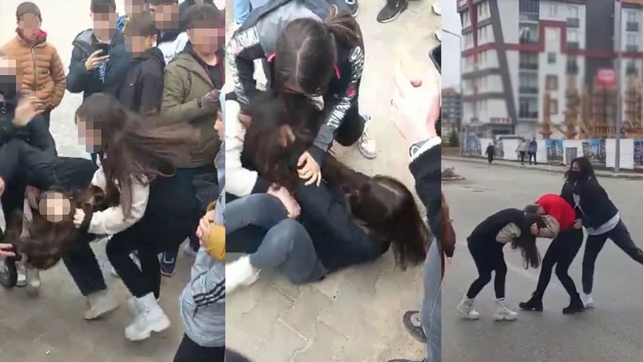 İnsan, hayvan, eğitim