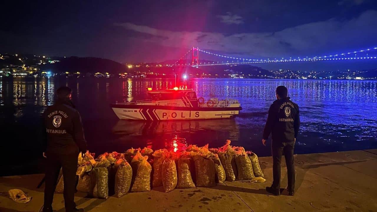 İstanbul'da yaklaşık 2,5 ton canlı midye ele geçirildi