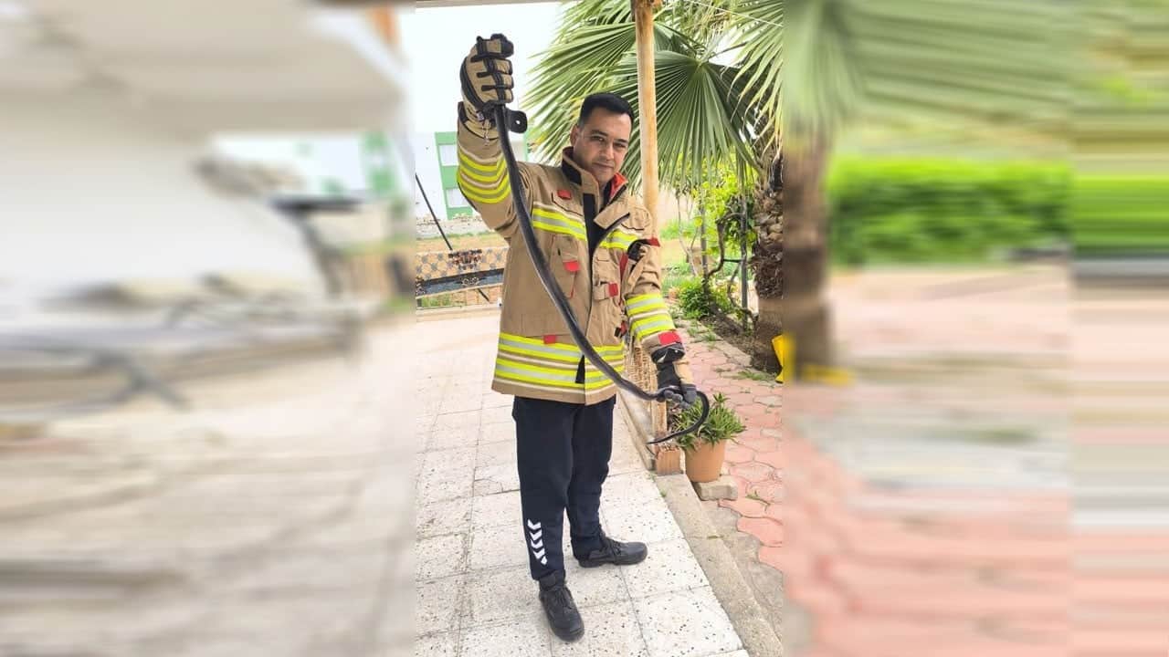 İtfaiye özel aparatla yakaladı! Evde beklenmedik misafir