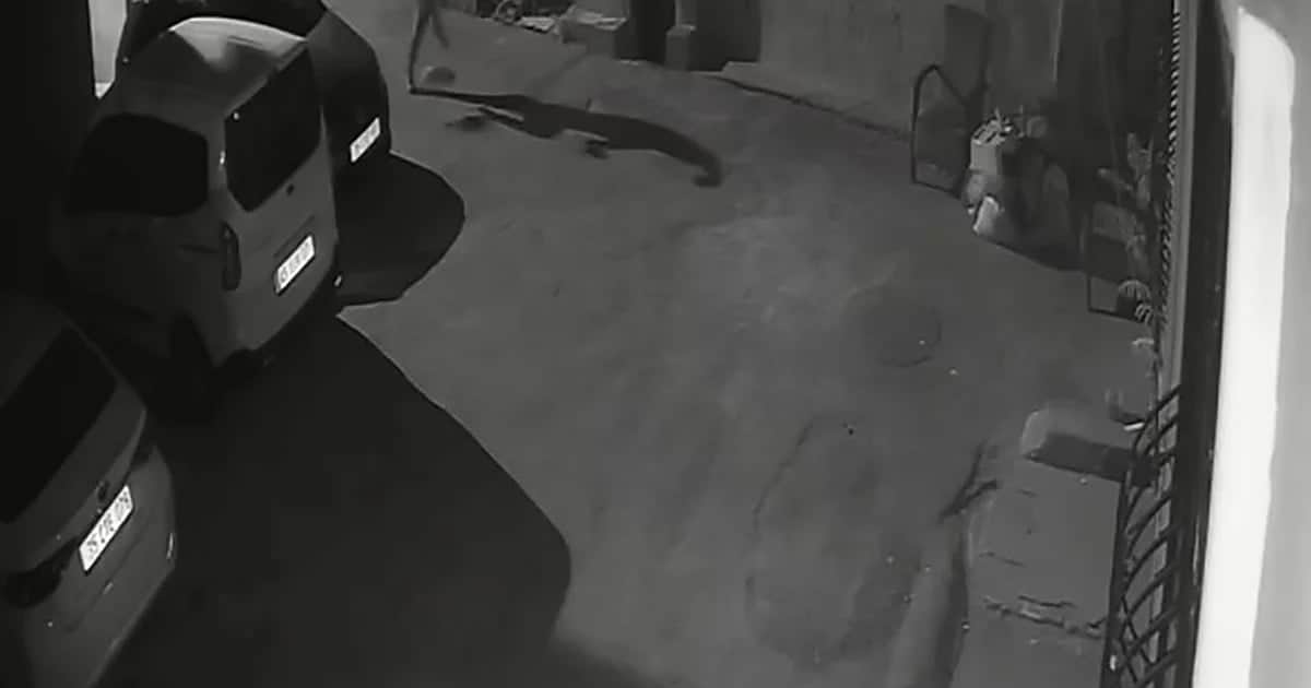 İzmir Konak'ta köpeğini tekmeleyip tasmayla sürükleyen şahıs gözaltına alındı