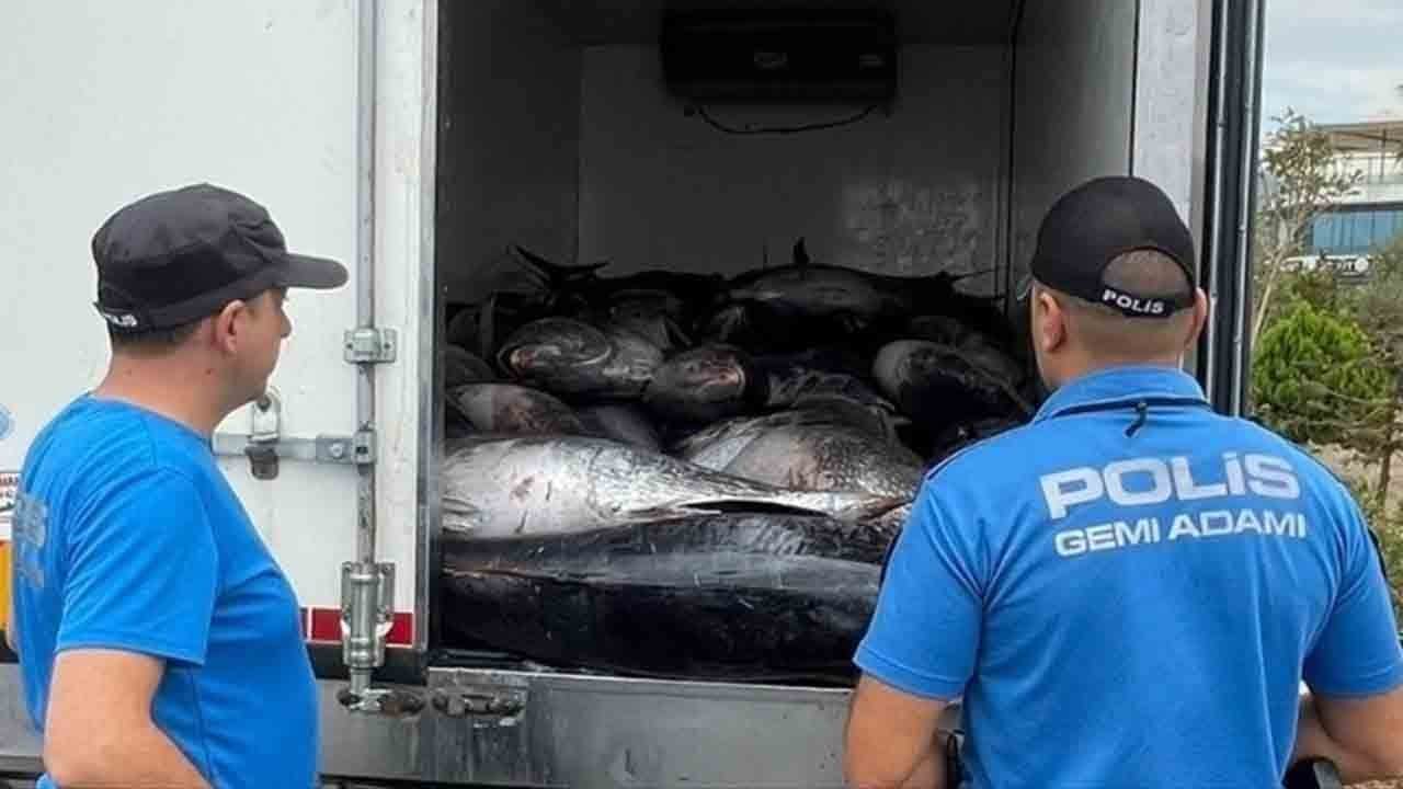 İzmir'de kaçak av operasyonu: 3 ton mavi yüzgeçli orkinos yakalandı!