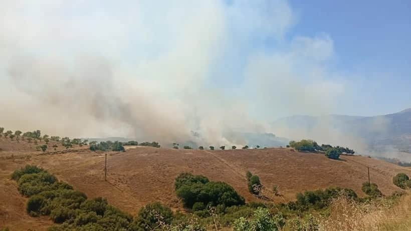 İzmir'de korkutan yangın! Ekiplerin havadan ve karadan müdahalesiyle söndürüldü!