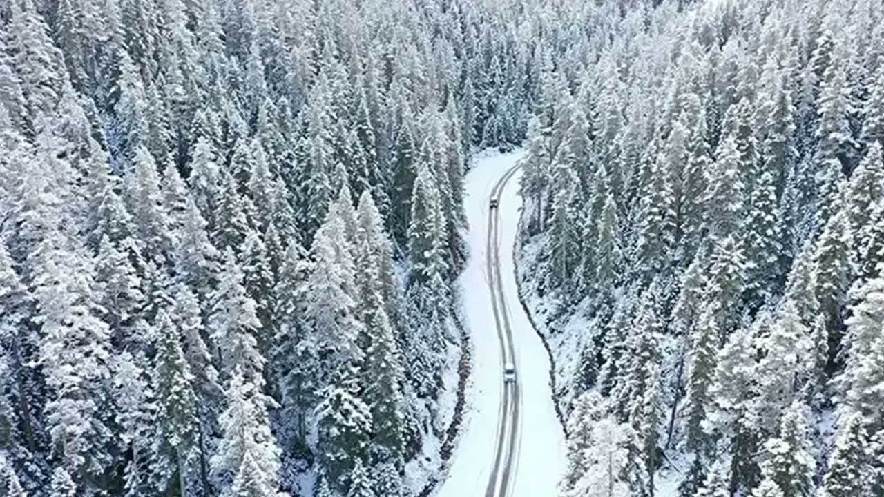 Kar yağışı etkili oluyor! Bolu gelinliğini giydi