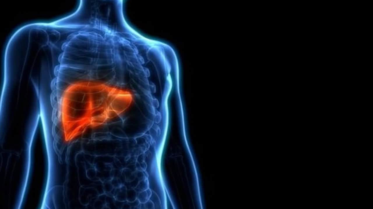 Karaciğerimizi gizli tehdit eden sessiz tehlike: Viral hepatit (Hepatit B ve C) enfeksiyonlarıdır! Gizlice ilerler