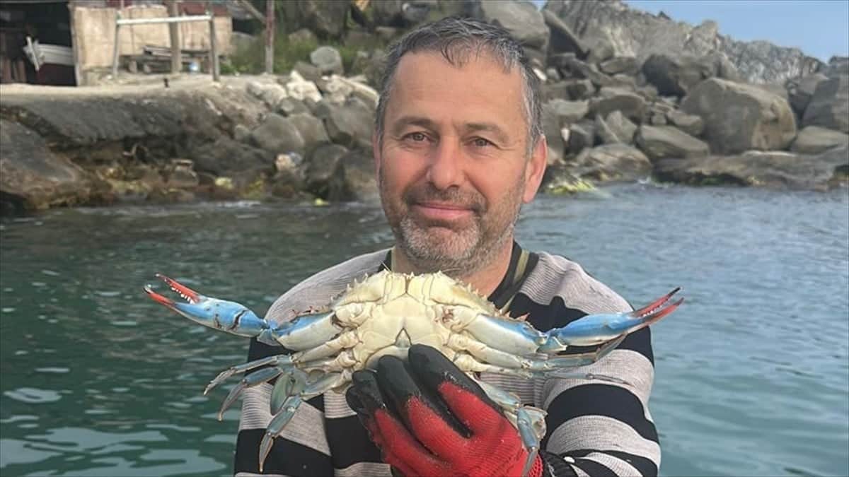 Karadenizli balıkçının ağına takıldı! Çok nadir görülüyor